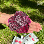 Nanafruit Dehydrated Dragonfruit – No added sugar, naturally sweet and vibrant dehydrated dragon fruit slices with a chewy texture and rich tropical flavor.