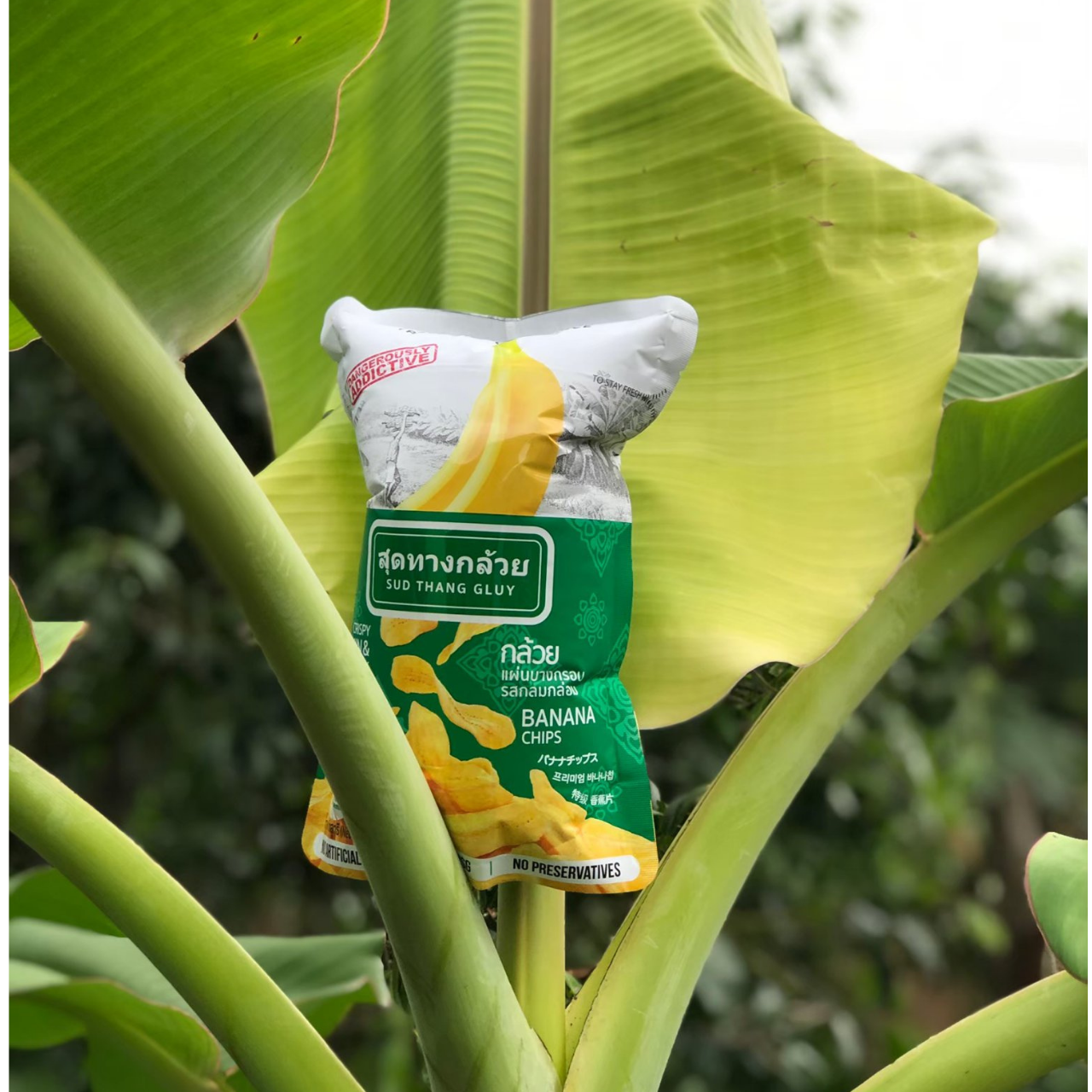 Sud Thang Gluy Thin-Sliced Banana Chips – Crispy, fragrant banana chips made from pesticide-free bananas, lightly seasoned for a naturally sweet and non-greasy snack. Dangerously addictive!