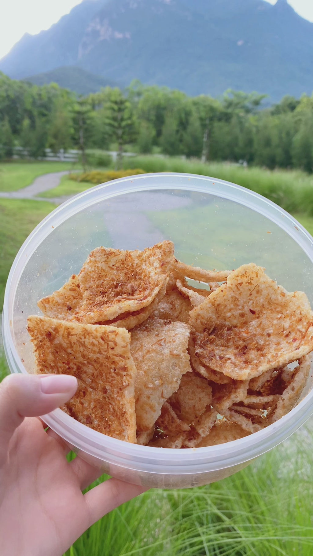Hua Hed Rice Crackers with Crispy Golden Mushroom – Crunchy rice crackers topped with organic crispy golden mushrooms, rich in protein and fiber, and free from additives.